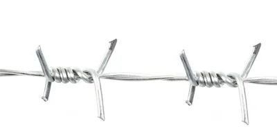 Envase de alambre de púas para construcción protectora Distribuidor de alambre de púas galvanizado
