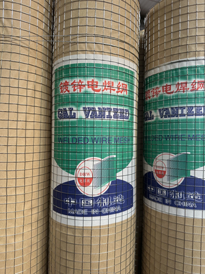 Galvanizado 60 80mm de acero de las redes de pollo cerca de la granja Triple Twist PVC recubierto de malla de alambre hexagonal Twill tejido y cortado a medida