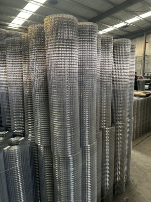 Pantalla perforada 1/2x1 1x1 Galvanizado en caliente de hierro soldado de malla de tela de alambre / 16 Gauge Electro Galvanizado Cuadrado de agujero de malla soldada Rollos