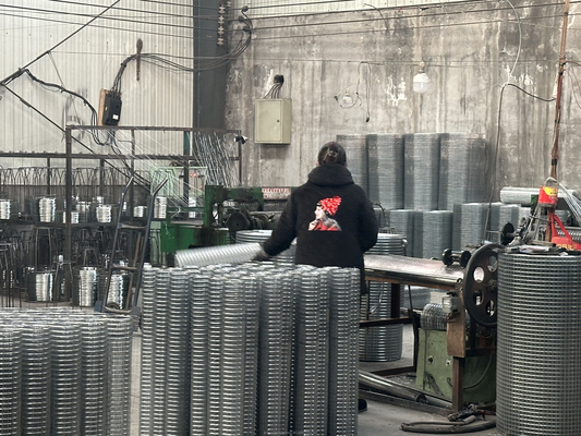 Técnica de protección de cercas galvanizadas de hierro soldado de malla de alambre con gran y perforado