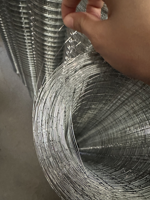 Especificaciones estándar Twill Weave JHT Bird Cage Galvanizado Rol de malla de alambre de acero soldado para satisfacer los requisitos del cliente