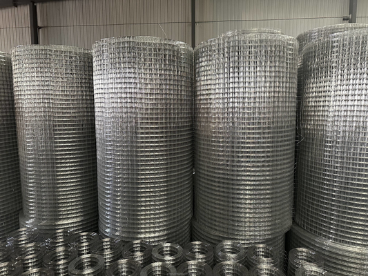 Especificaciones estándar Twill Weave JHT Bird Cage Galvanizado Rol de malla de alambre de acero soldado para satisfacer los requisitos del cliente